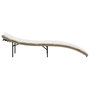 Voir la diapositive 5 : VIDAXL Chaise longue avec coussin beige 55x199x50 cm resine tressee