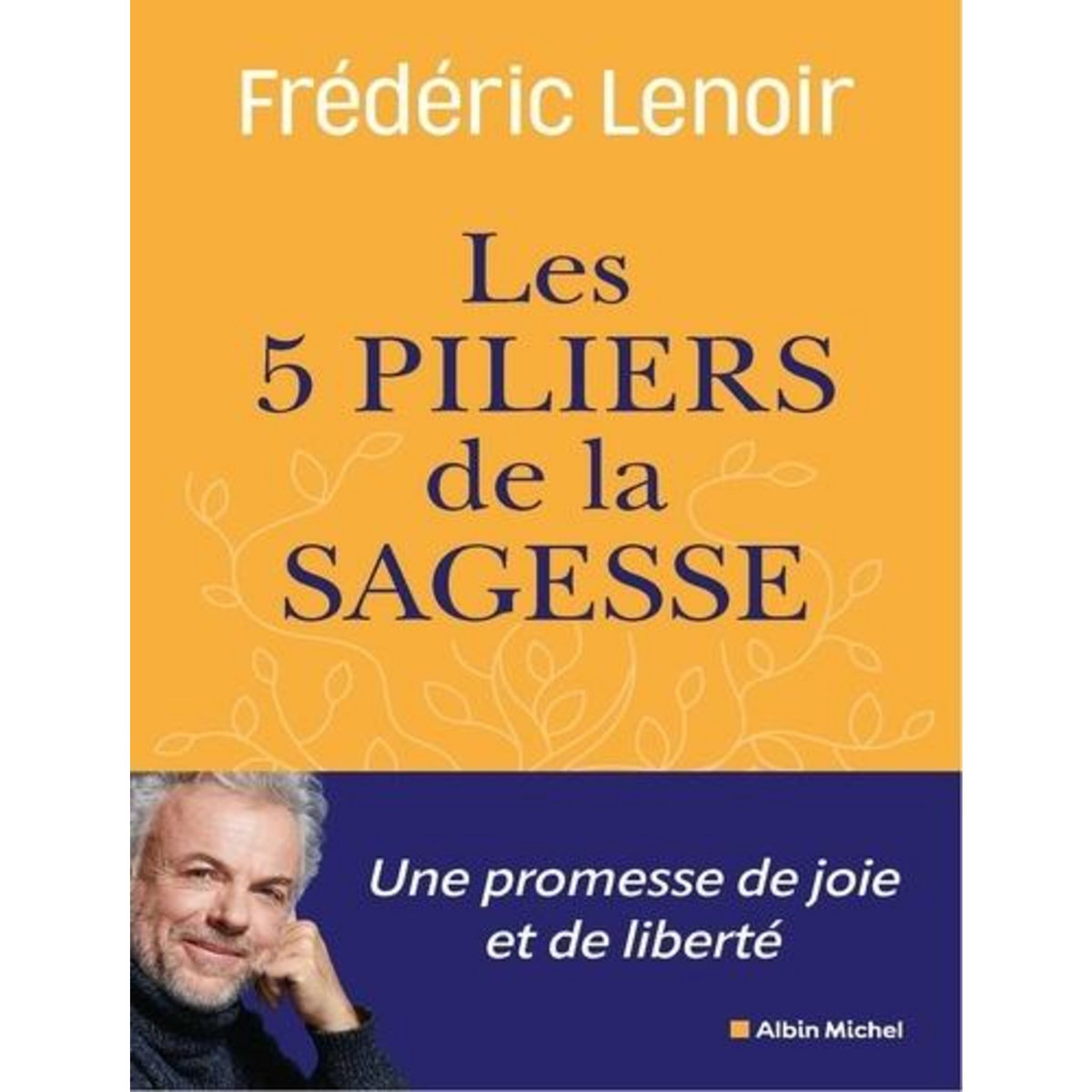 LES 5 PILIERS DE LA SAGESSE, Lenoir Frédéric