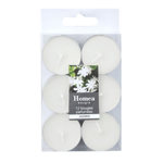 Paris Prix Lot de 12 Bougies Chauffe-Plat  Essentiel  3,5cm Jasmin