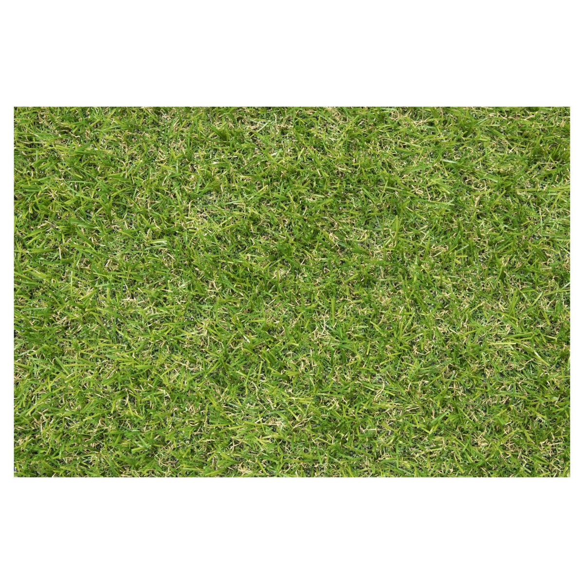 EXELGREEN Gazon artificiel - Epaisseur 20mm - 1x3m - GREEN