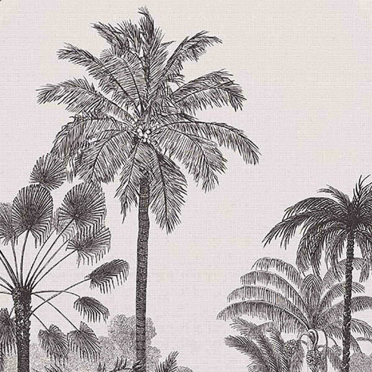 Douceur d'Intérieur Abattant WC MDF Cocoty