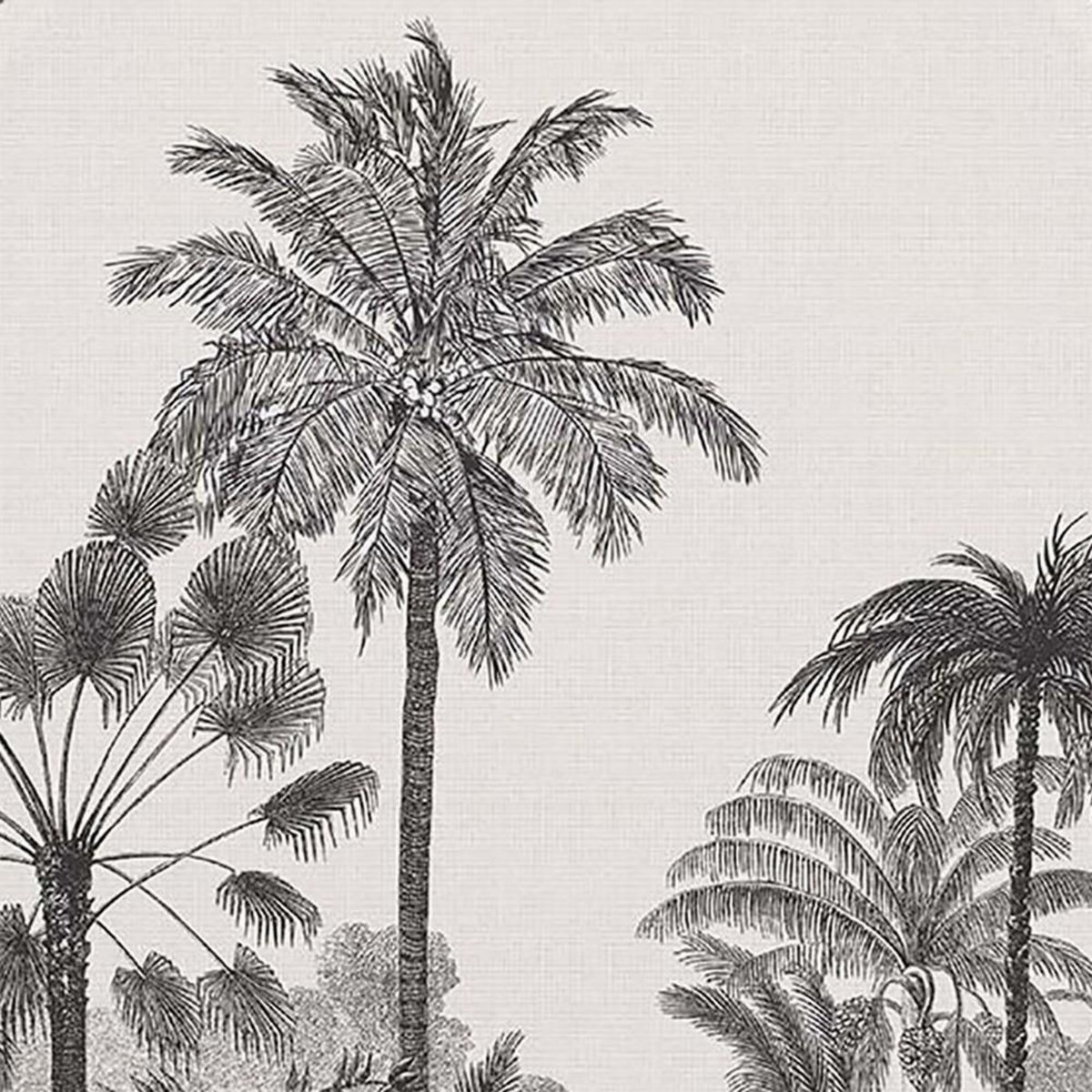 Douceur d'Intérieur Abattant WC MDF Cocoty