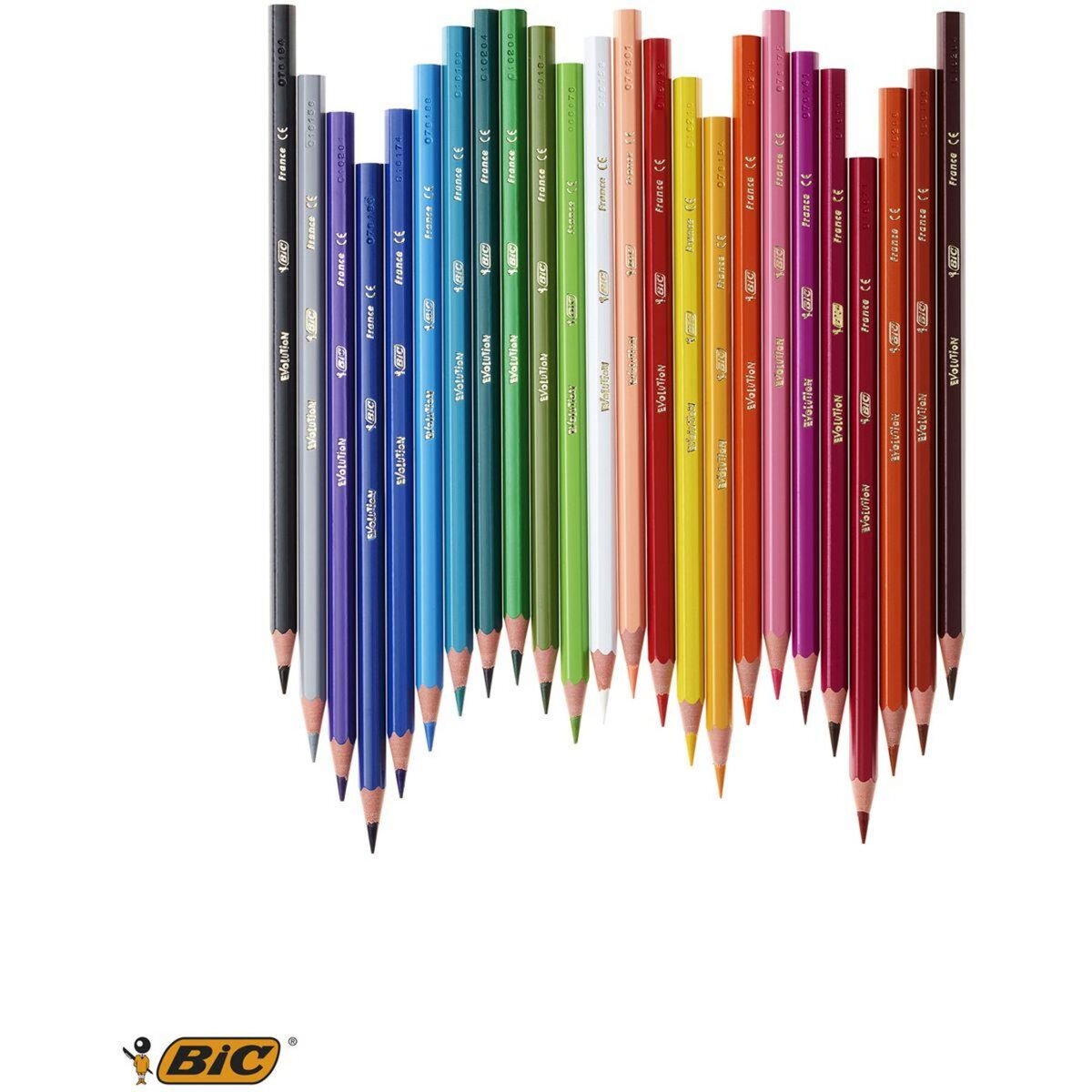 BIC Etui de 24 crayons de couleur Kids Evolution