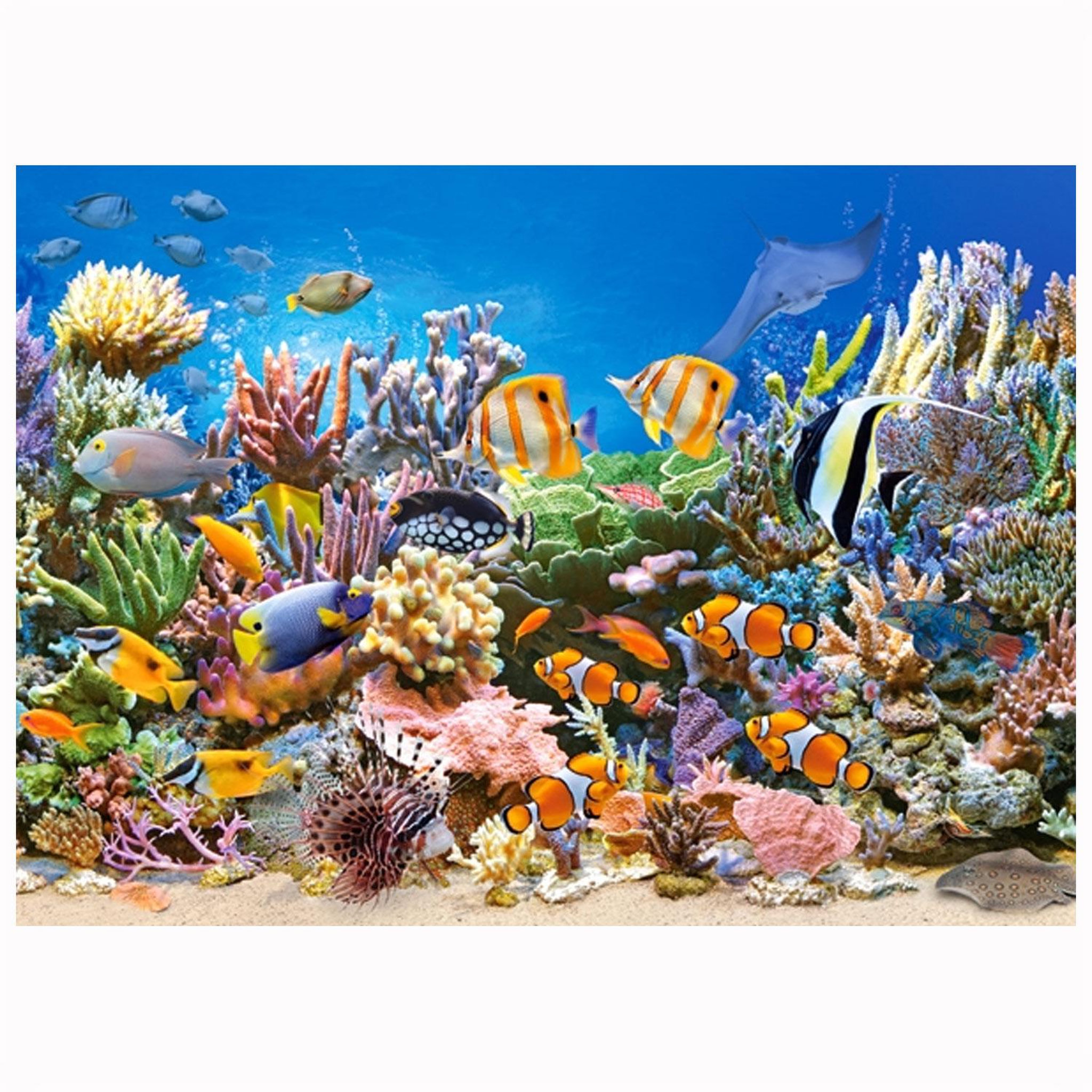 Castorland Puzzle 260 pièces : Les couleurs de l'océan