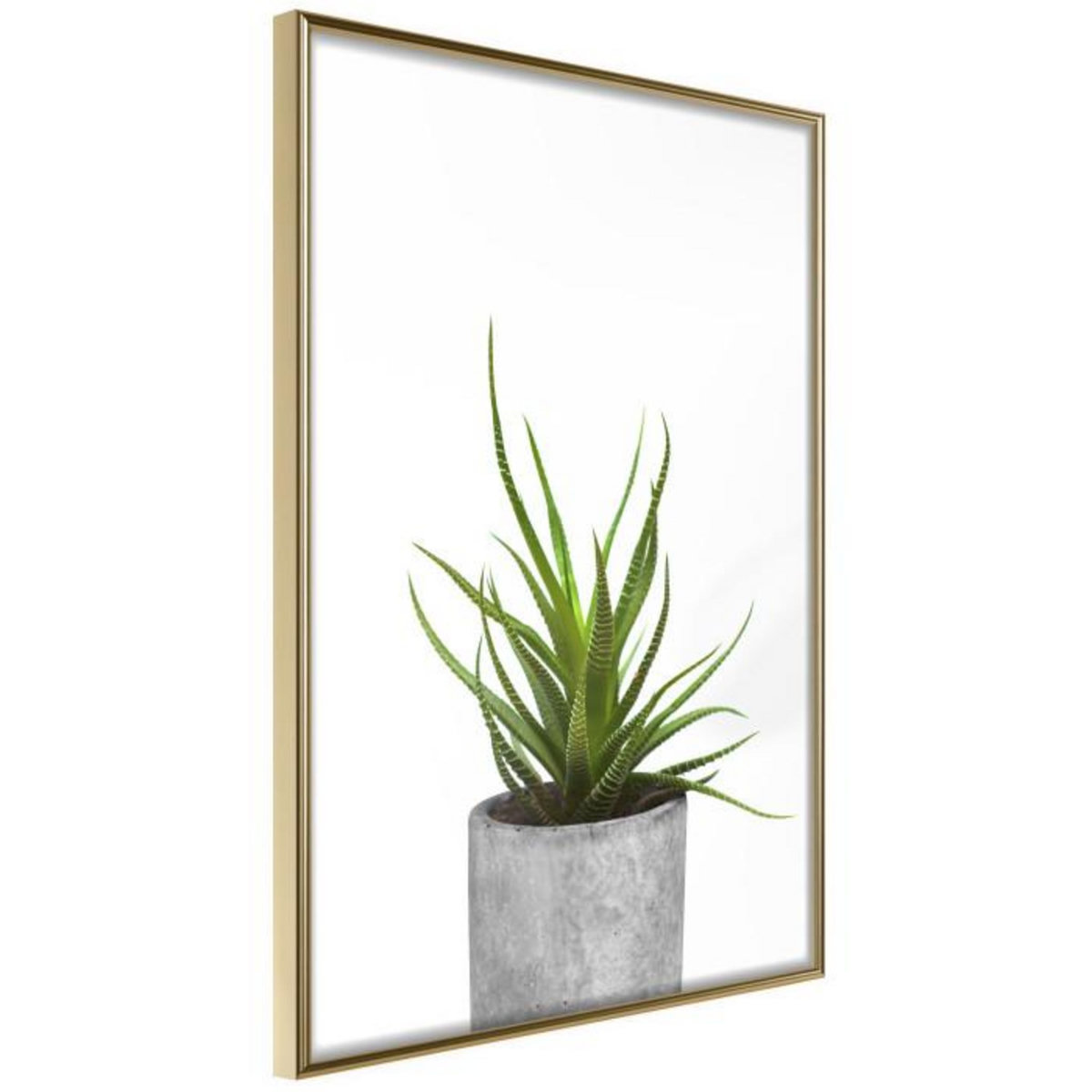 Paris Prix Affiche Murale Encadrée  Piece of Nature I