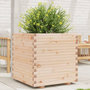 Voir la diapositive 1 : VIDAXL Jardiniere 70x70x72 cm bois de pin massif