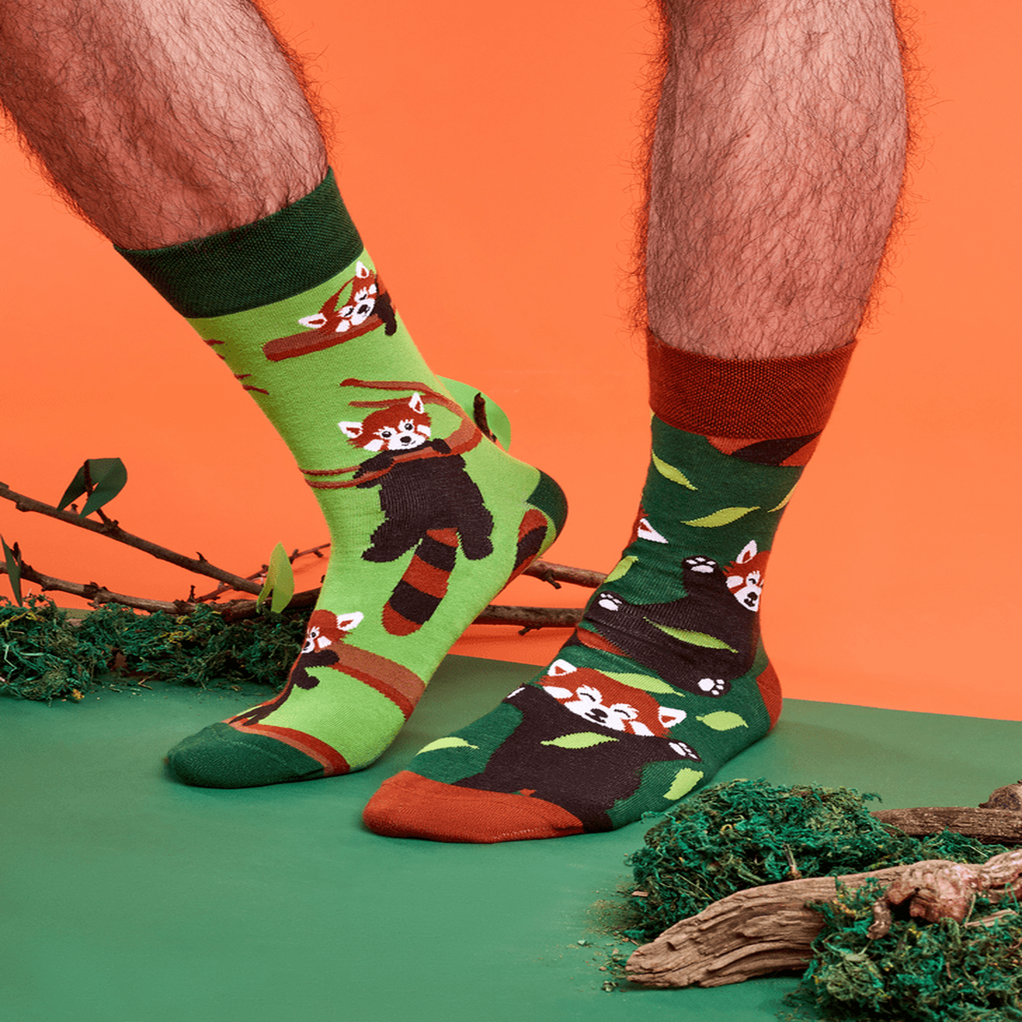 Voir la diapositive 4 : DEDOLES Chaussettes panda roux