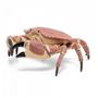 Voir la diapositive 4 : Papo 56047 - Crabe Figurine