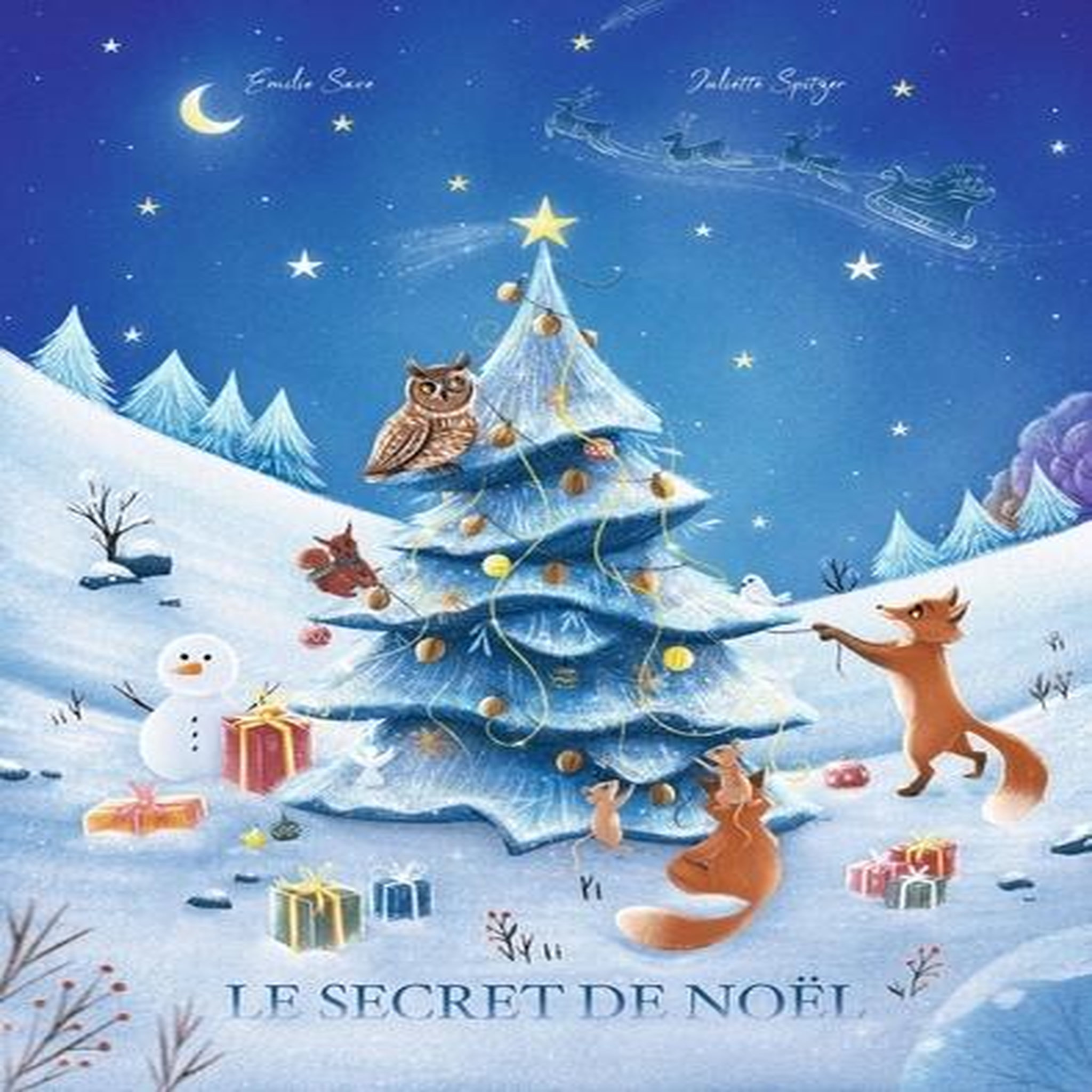 LE SECRET DE NOEL, Save Emilie