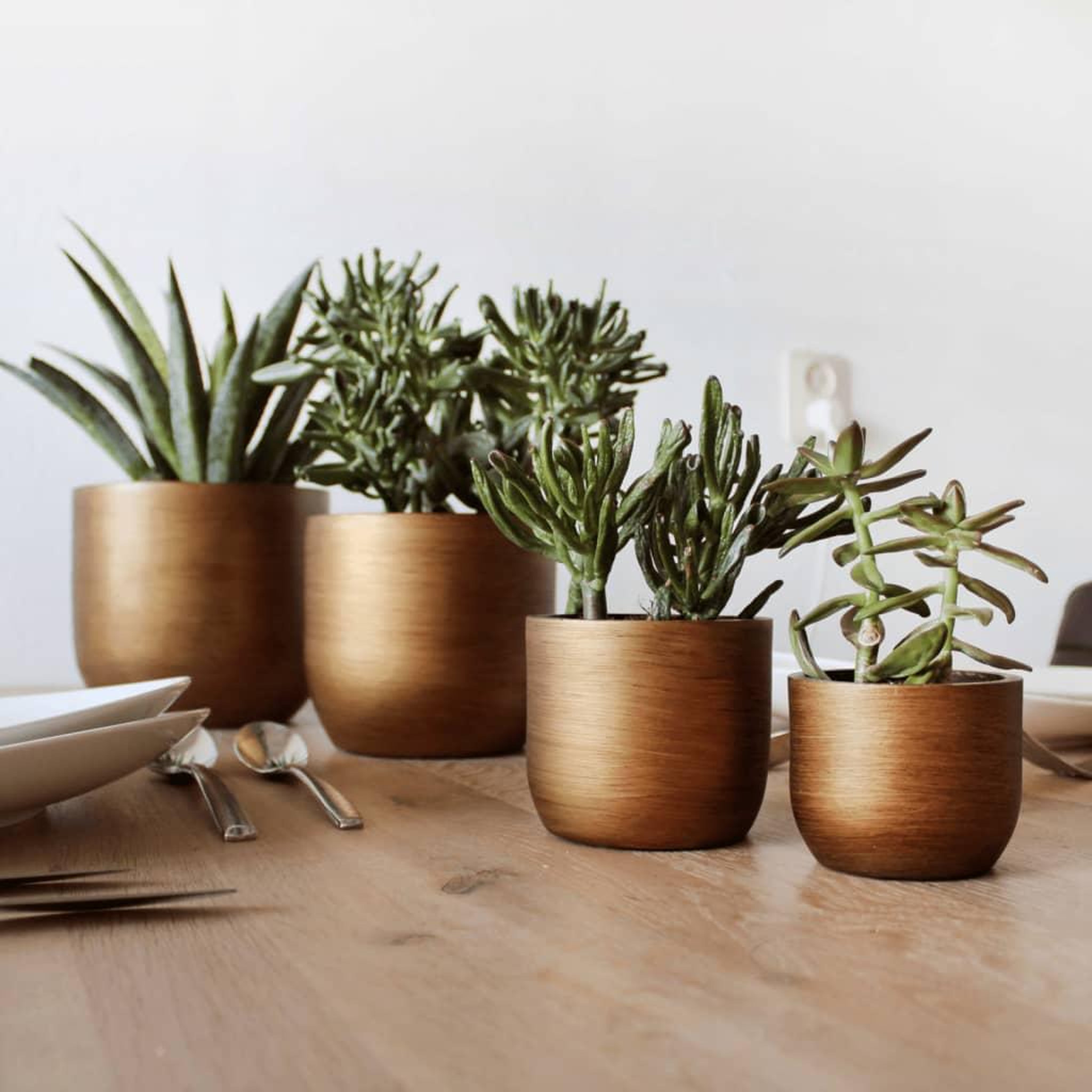 Voir la diapositive 1 : CAPI Capi Ensemble de jardiniere 4 pcs Lux Retro Dore