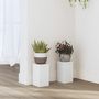 Voir la diapositive 1 : VIDAXL Supports pour plantes 2 pcs blanc 10x10x18 cm bois d'ingenierie