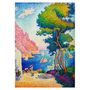 Voir la diapositive 2 : Sentosphere Puzzle Calypto 500p - Capo di Napoli - Paul Signac