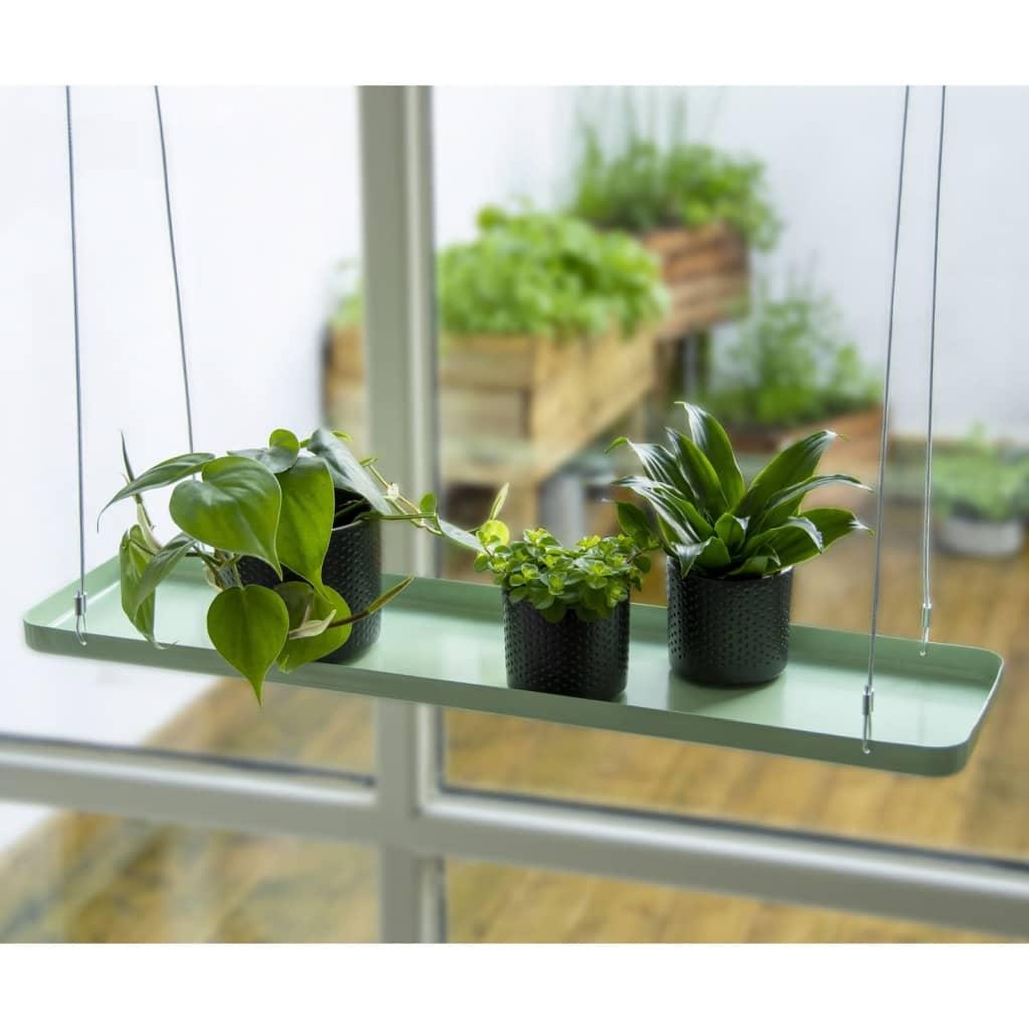 Voir la diapositive 1 : ESSCHERT DESIGN Esschert Design Plateau suspendu pour plantes rectangulaire vert L