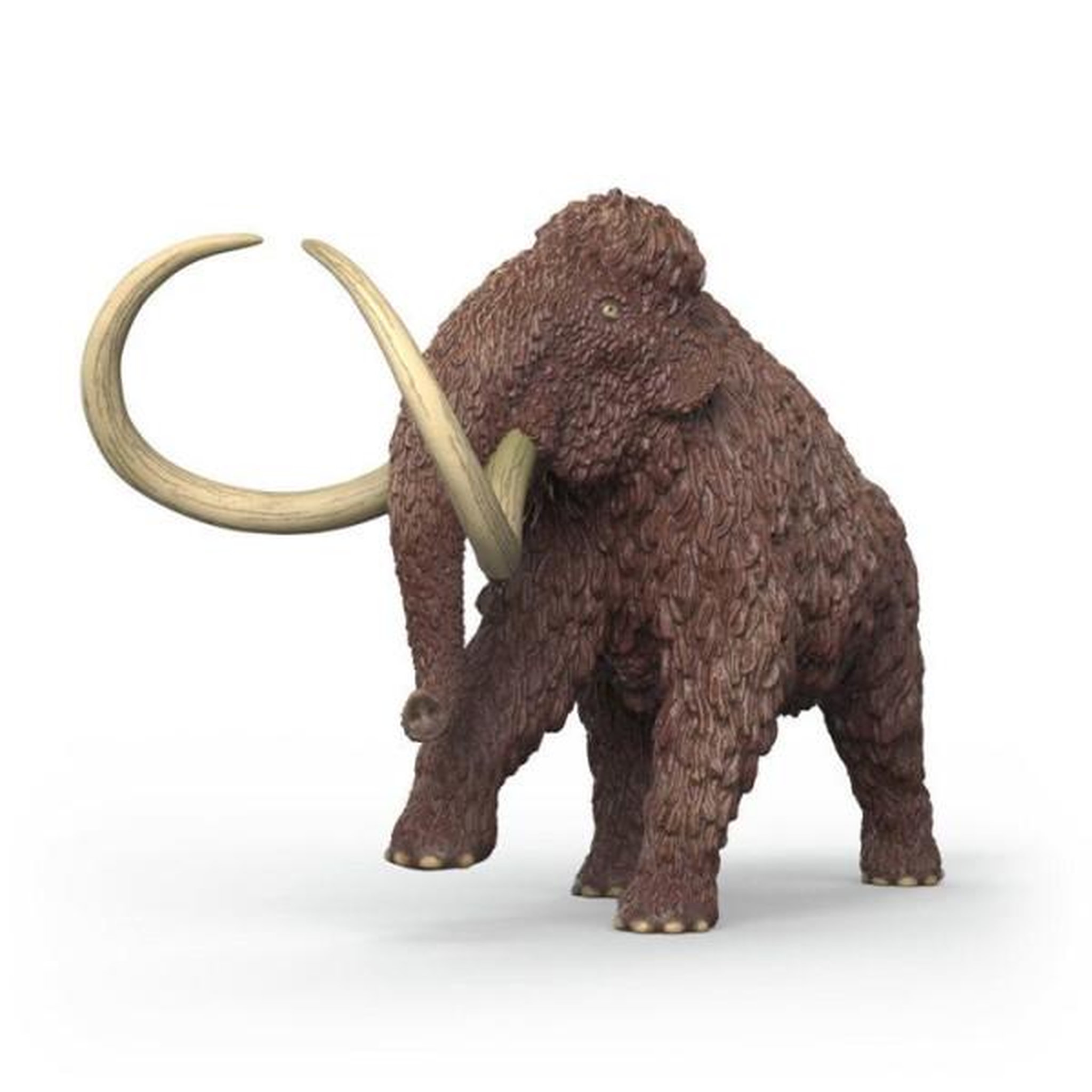 Voir la diapositive 3 : Schleich 15053 figurine le Mammouth