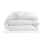 Voir la diapositive 1 : ABEIL ABEIL Couette Thermofill 200 x 200 cm