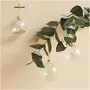 RICO DESIGN Boule en verre décorative naturelle - fleur séchée - 8 cm