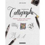 INITIATION A LA CALLIGRAPHIE. ALPHABETS, LETTRES ORNEES, ENTRELACS... EXPLIQUES PAS A PAS, Sullivan Jane