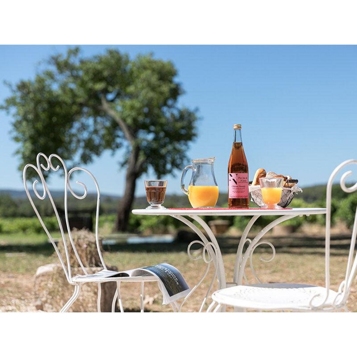 Smartbox Séjour en château aux portes des gorges du Verdon : 2 jours en suite avec repas gourmand - Coffret Cadeau Séjour