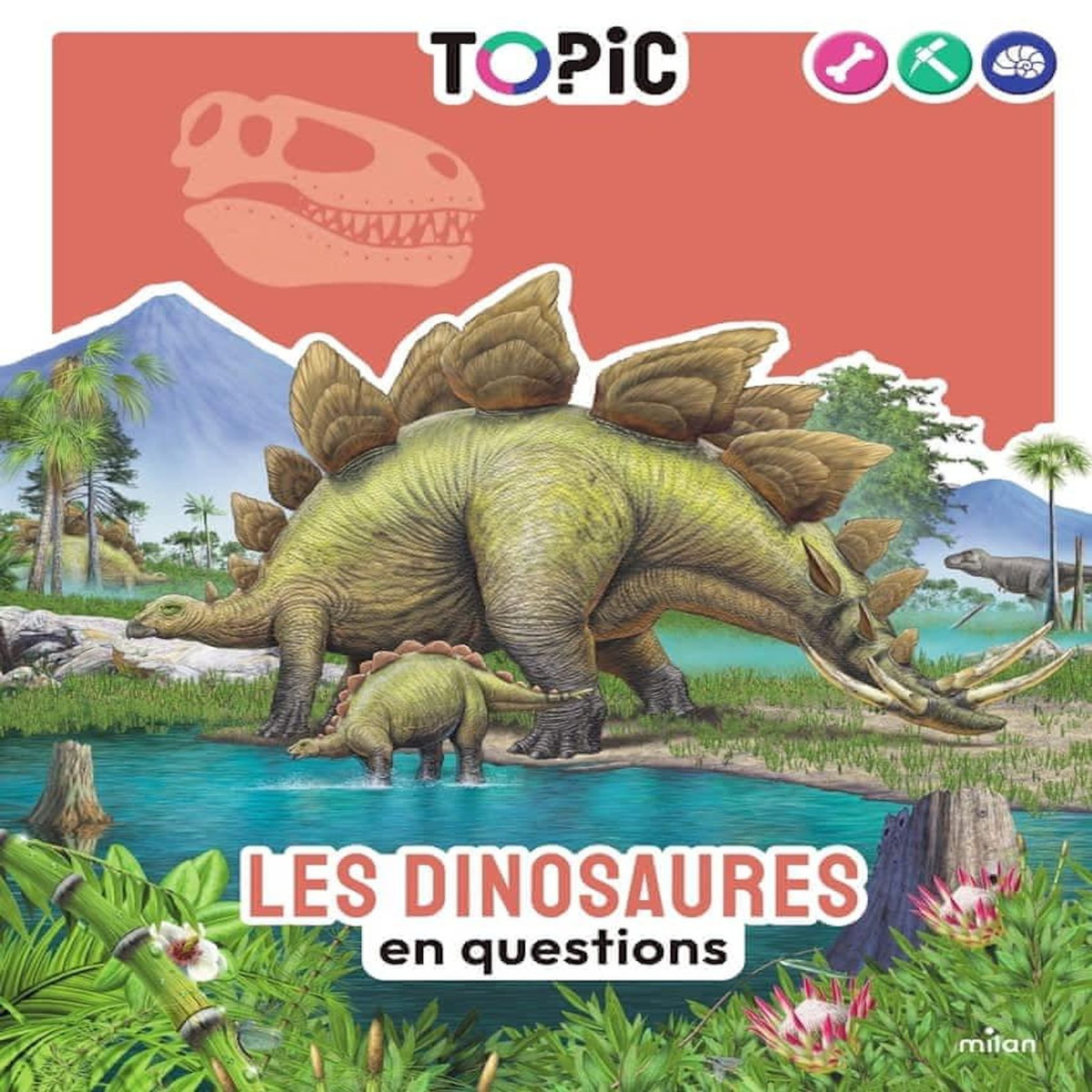 LES DINOSAURES EN QUESTIONS, Hédelin Pascale