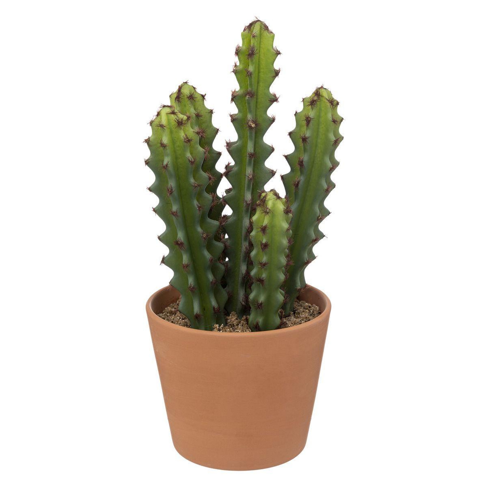 ATMOSPHERA Plante artificielle cactus  alicante  30cm vert