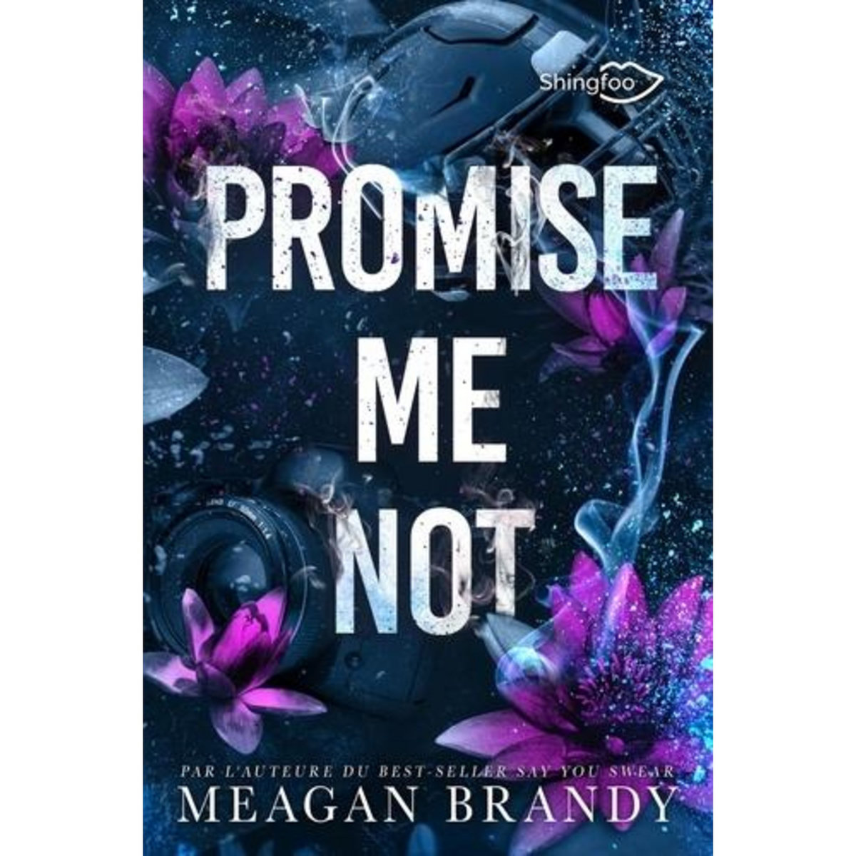 BOYS OF AVIX TOME 2 : PROMISE ME NOT, Brandy Meagan
