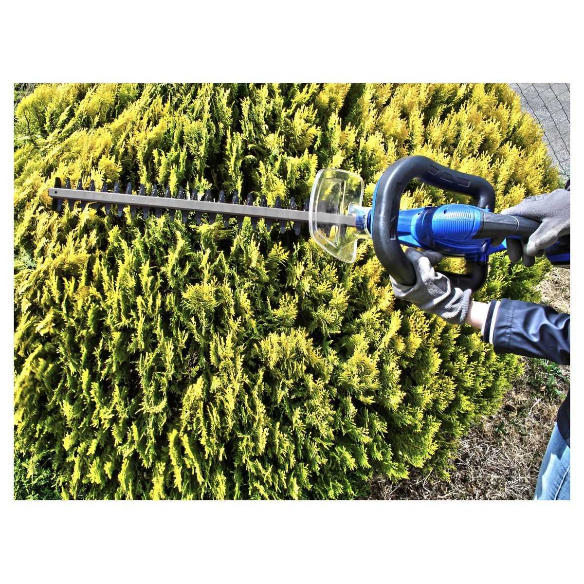 HYUNDAI Taille-haie sans fil 20 V 52 cm