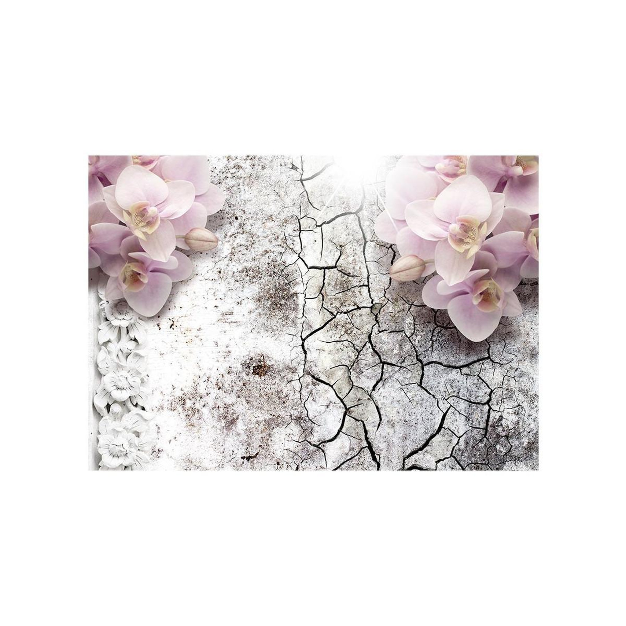 Voir la diapositive 2 : Paris Prix Papier peint  bright red orchids