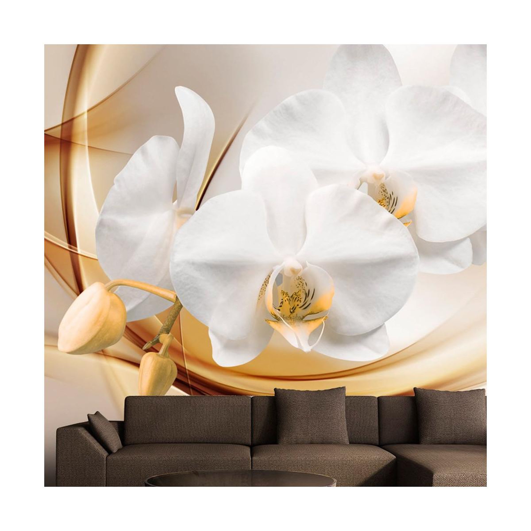 Paris Prix Papier peint  orchid blossom. Coloris disponibles : Multicolore
