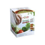 AH! TABLE! Germoir en terre cuite