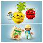 Voir la diapositive 6 : LEGO DUPLO 10982 - Le tracteur des fruits et légumes, Jouet à Empiler et à Trier par Couleur pour les Bébés et Enfants Âgés de 1,5 à 3 Ans, Jeu Éducatif