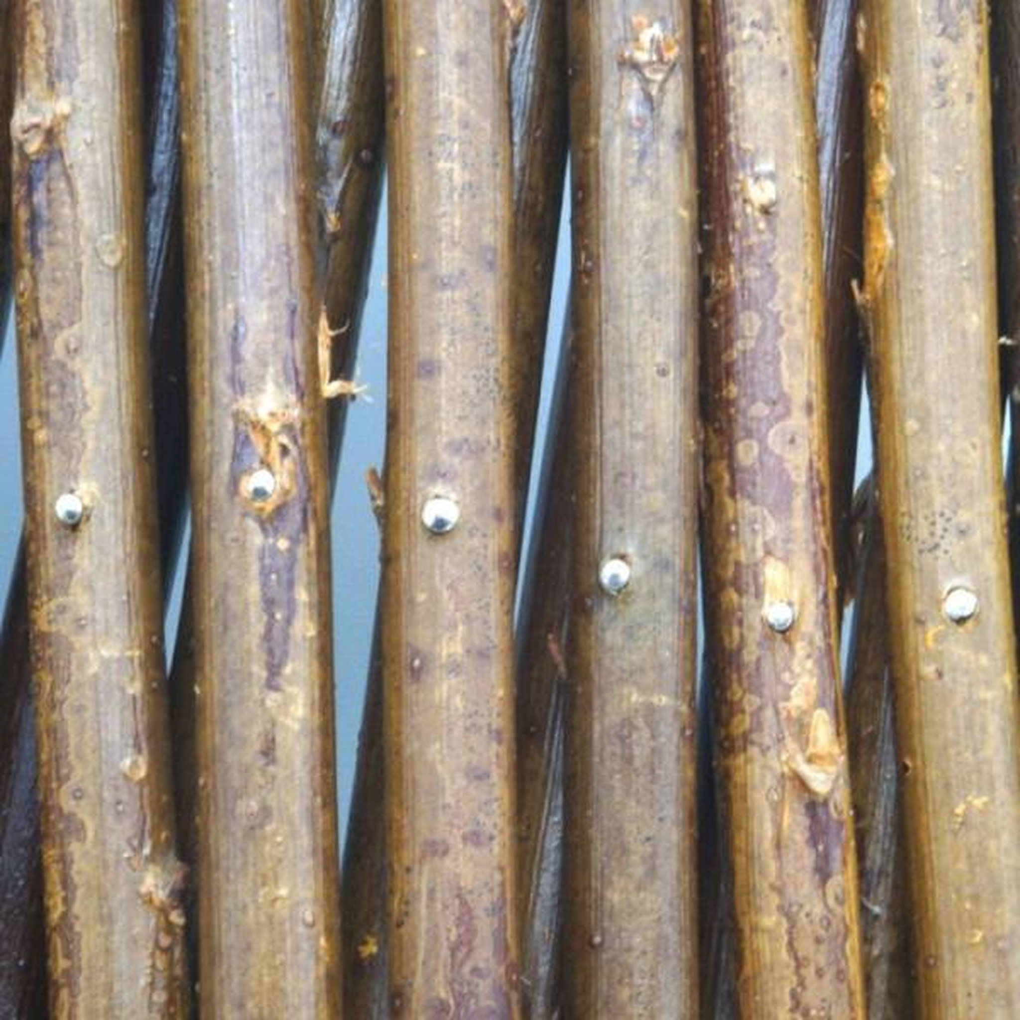 Voir la diapositive 4 : NATURE Nature treillis de jardin 30x180 cm saule naturel marron 446397