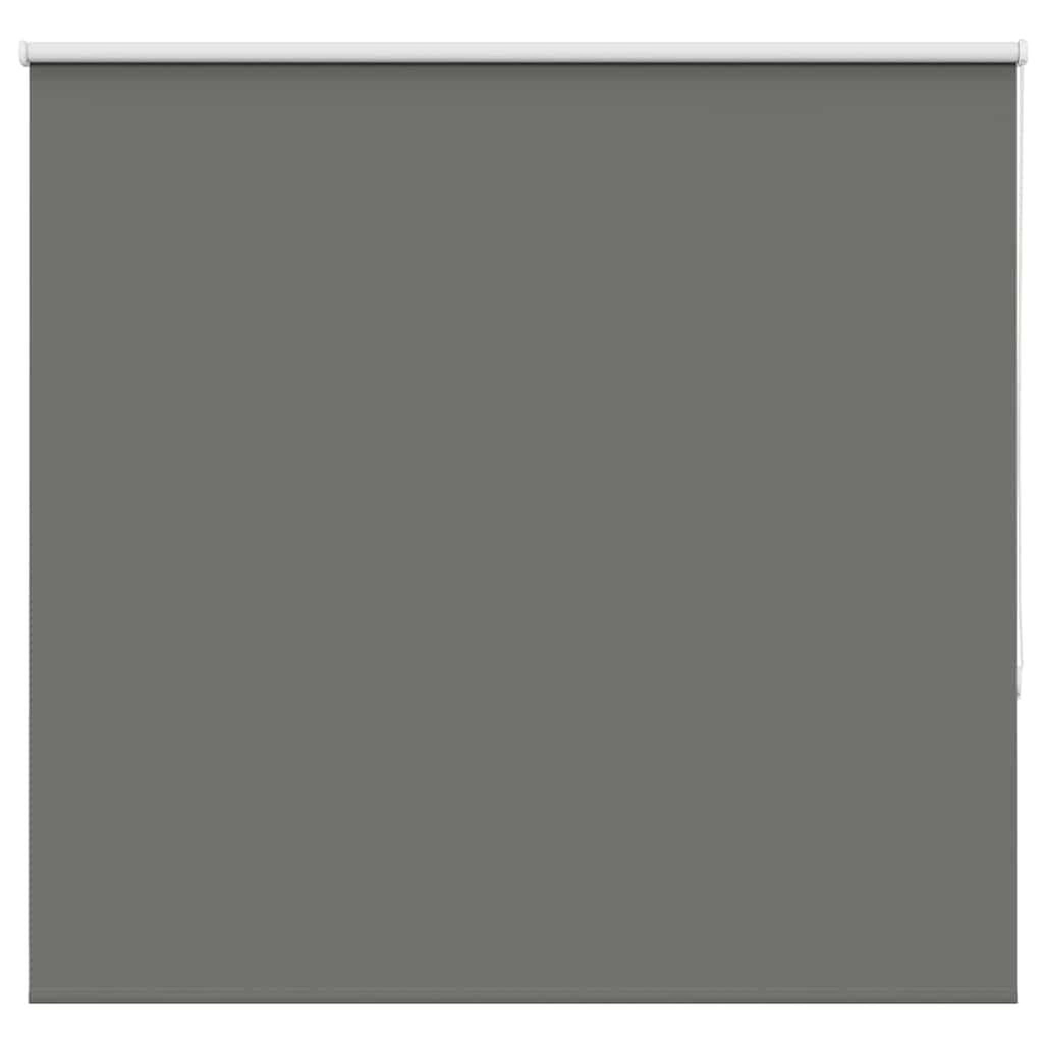 VIDAXL Store enrouleur occultant largeur du tissu 156,6 cm polyester