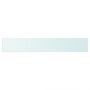 Voir la diapositive 2 : VIDAXL Panneau pour etagere Verre transparent 80 x 12 cm
