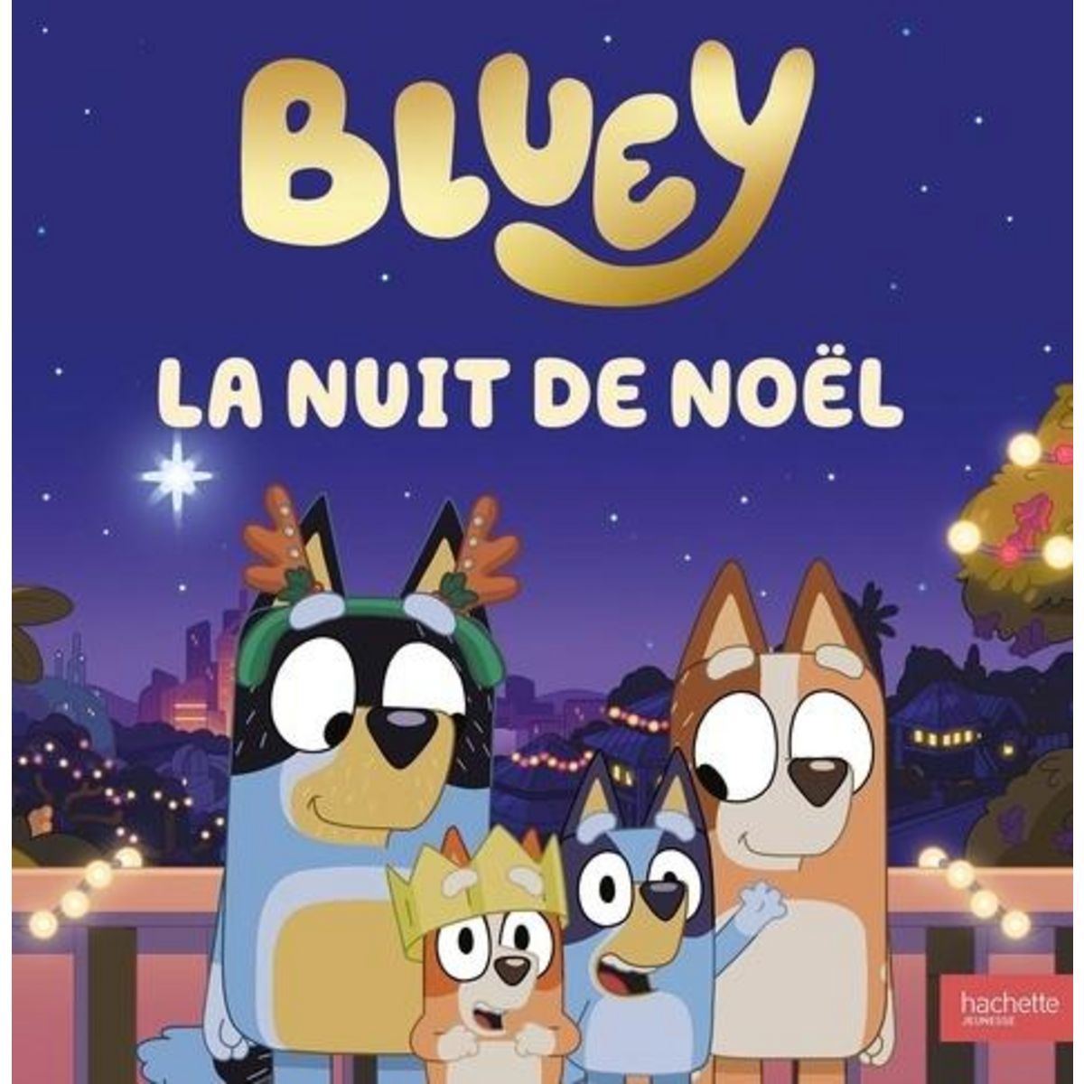 BLUEY : LA NUIT DE NOEL, Ludo Studio Pty