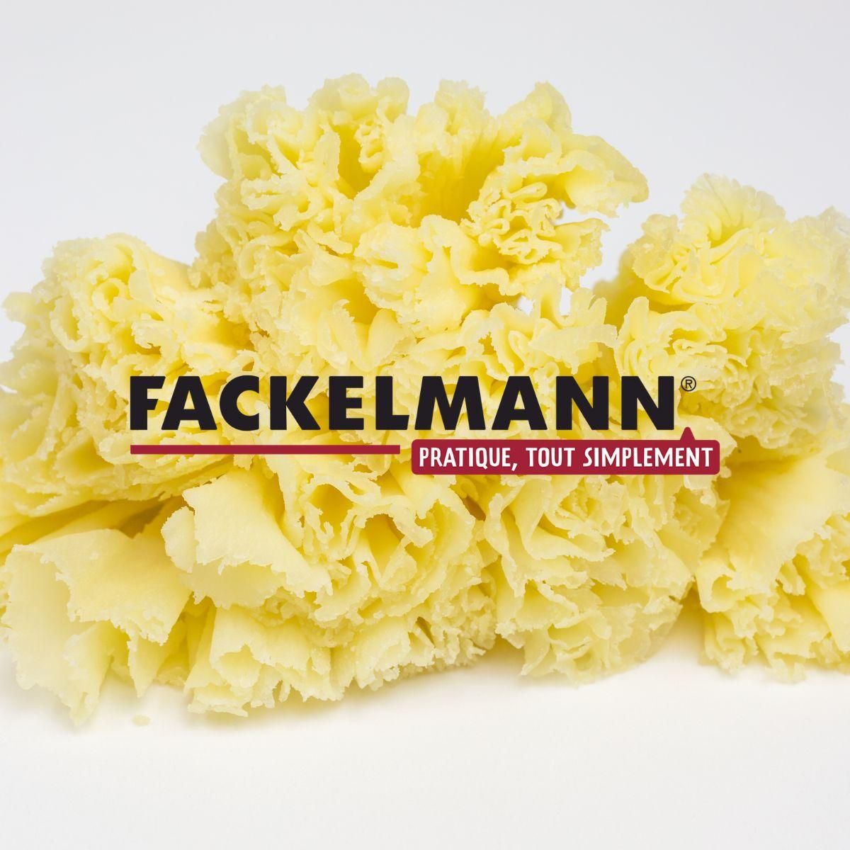 Fackelmann Ensemble de 2 Girolles à fromage 22 cm Fackelmann Boissellerie