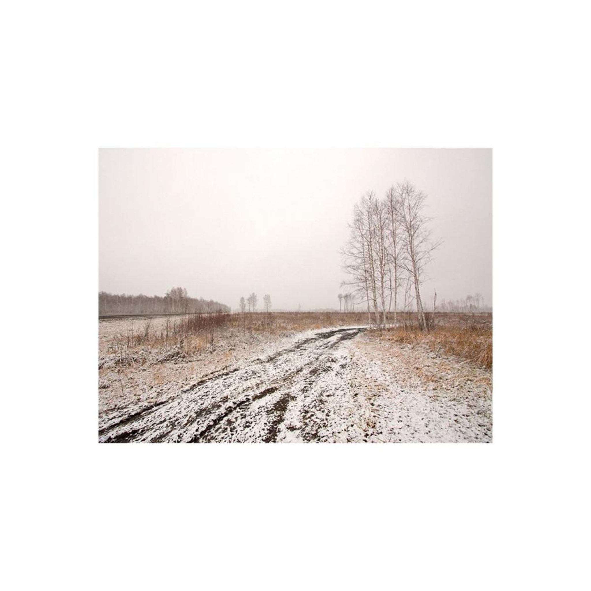 Voir la diapositive 2 : Paris Prix Papier peint  winter field