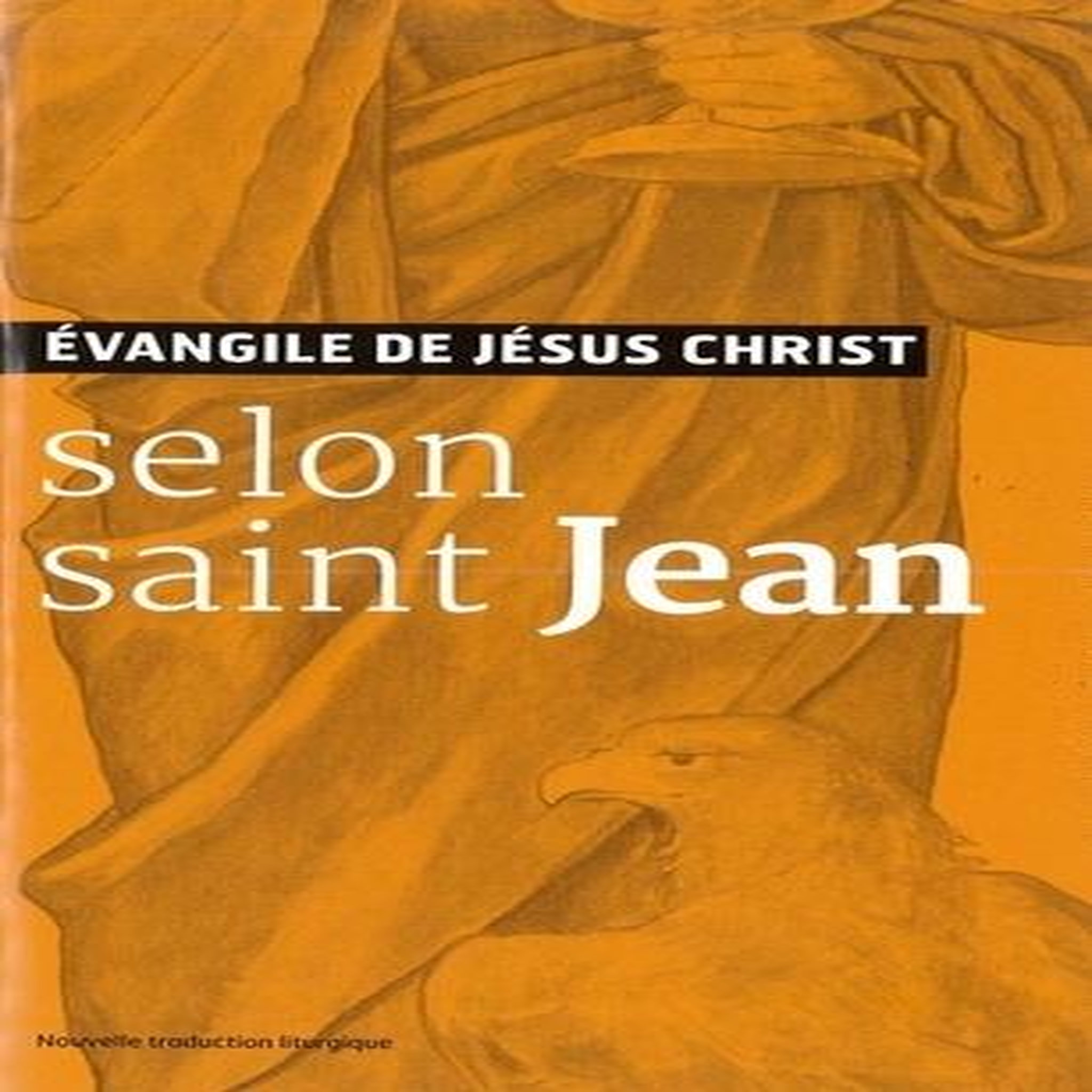 EVANGILES DE JESUS-CHRIST SELON SAINT JEAN. NOUVELLE TRADUCTION LITURGIQUE, AELF