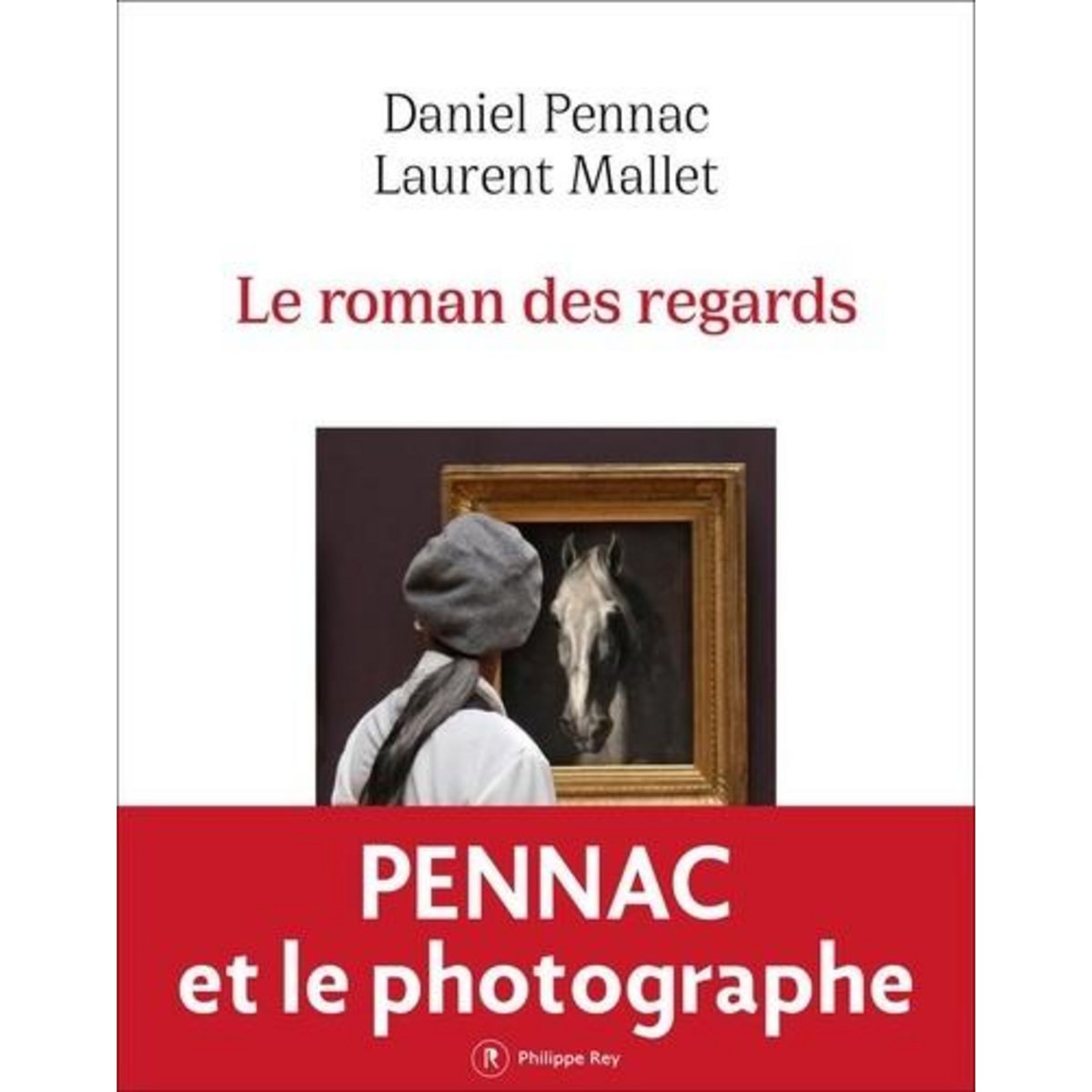 LE ROMAN DES REGARDS, Pennac Daniel