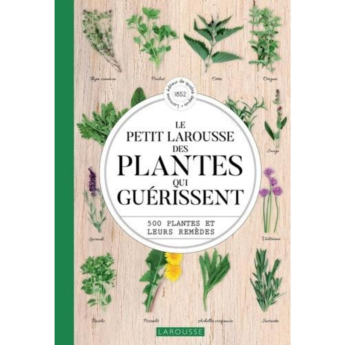 LE PETIT LAROUSSE DES PLANTES QUI GUERISSENT. 500 PLANTES ET LEURS REMEDES, Debuigne Gérard