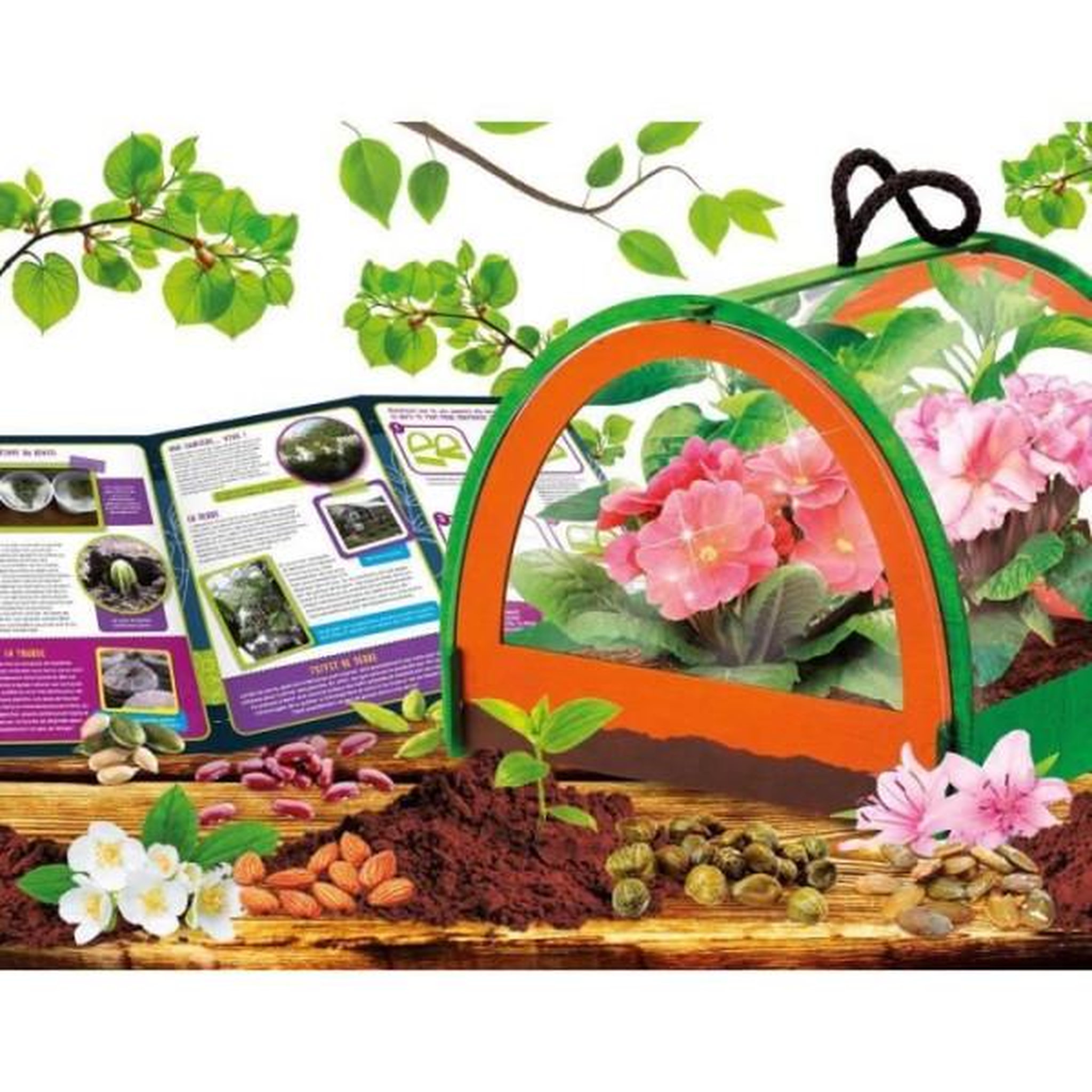 Voir la diapositive 3 : LISCIANI GIOCHI Découverte de la botanique - Kit Scientifique - I'M A GENIUS POCKET - Serre miniature, Expériences botaniques