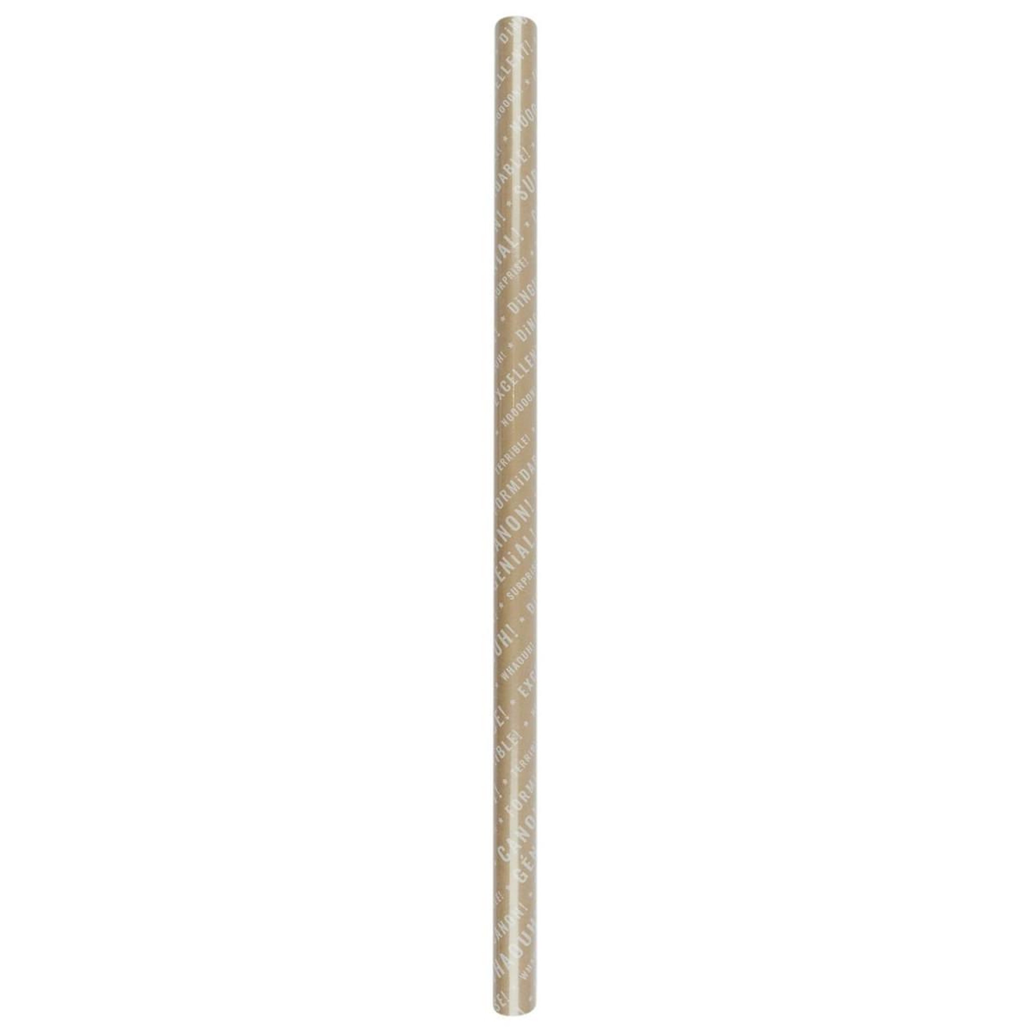 Voir la diapositive 3 : PARTY TIME Lot de 3 Papiers Cadeaux  Kraft  200cm Naturel