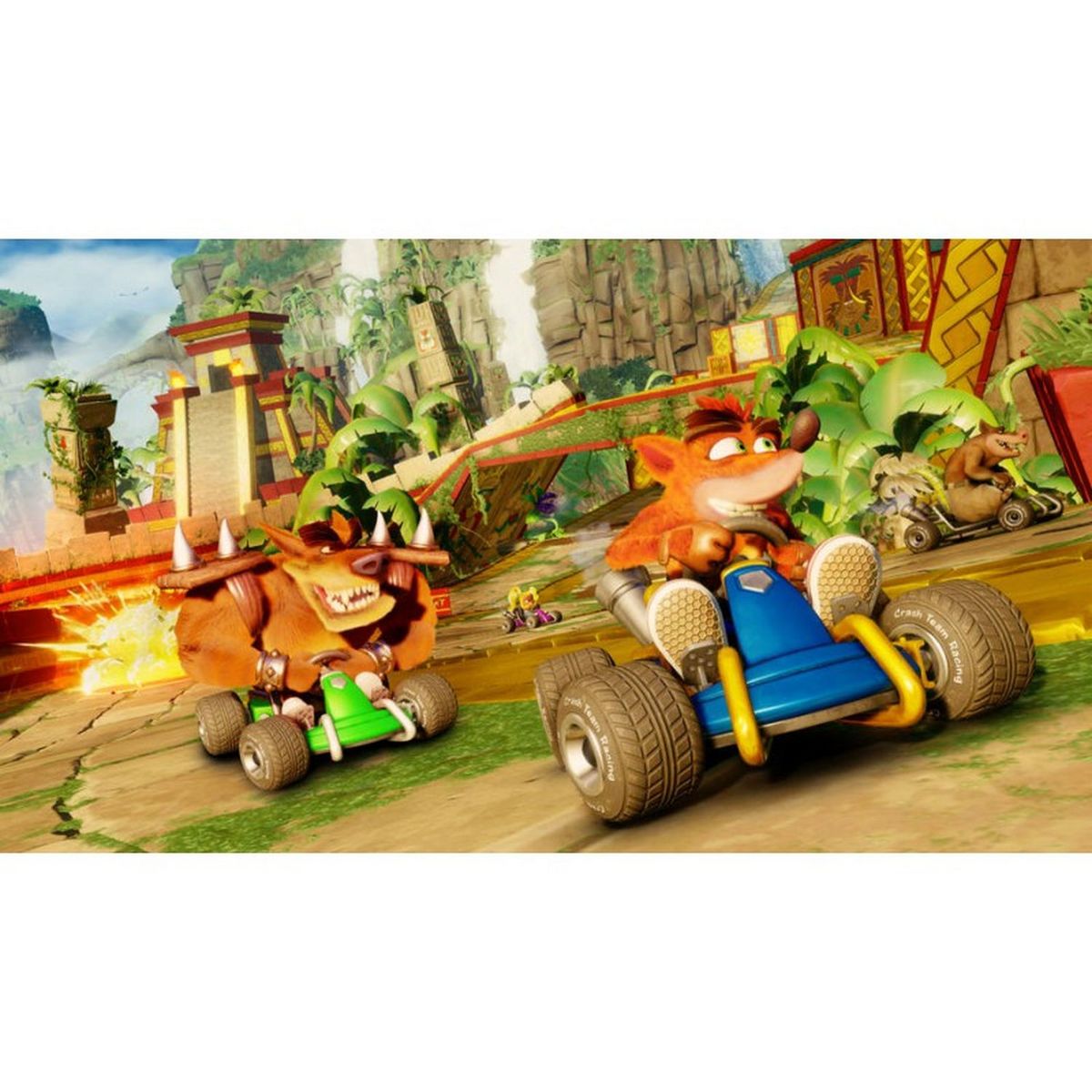 Activision Crash Team Racing Nitro-Fueled Edition Nitros Oxide PS4