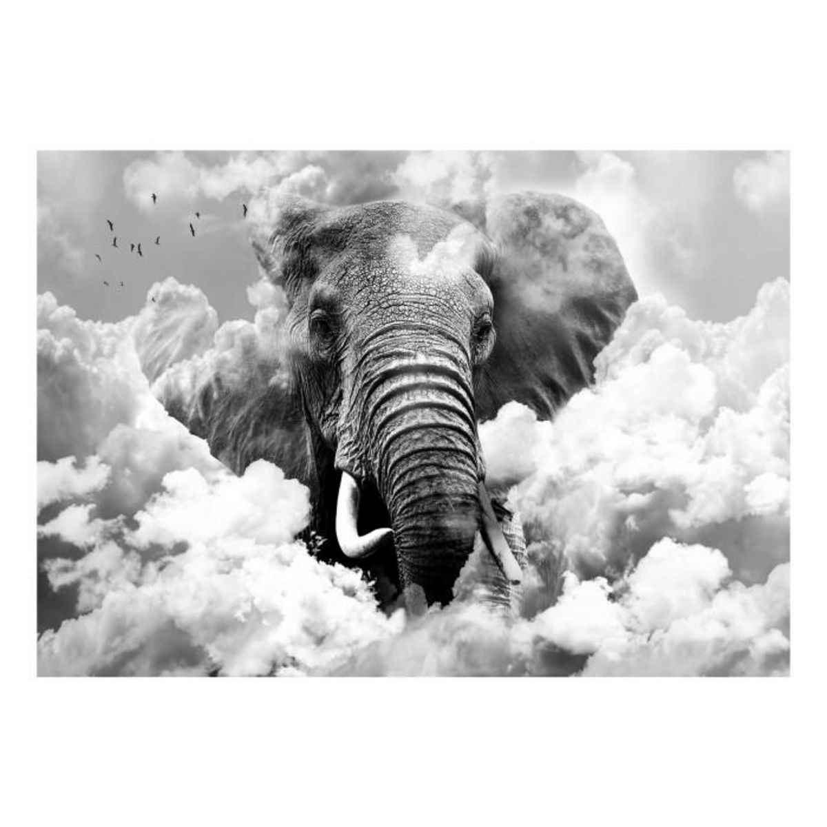 Paris Prix Papier Peint  Elephant in the Clouds Black & White