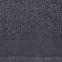 VIDAXL Serviettes de douche 2 pcs Coton 450 g/m^2 70x140 cm Anthracite
