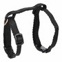Voir la diapositive 2 : Paris Prix Harnais & Laisse pour Chat  Kit  120cm Noir