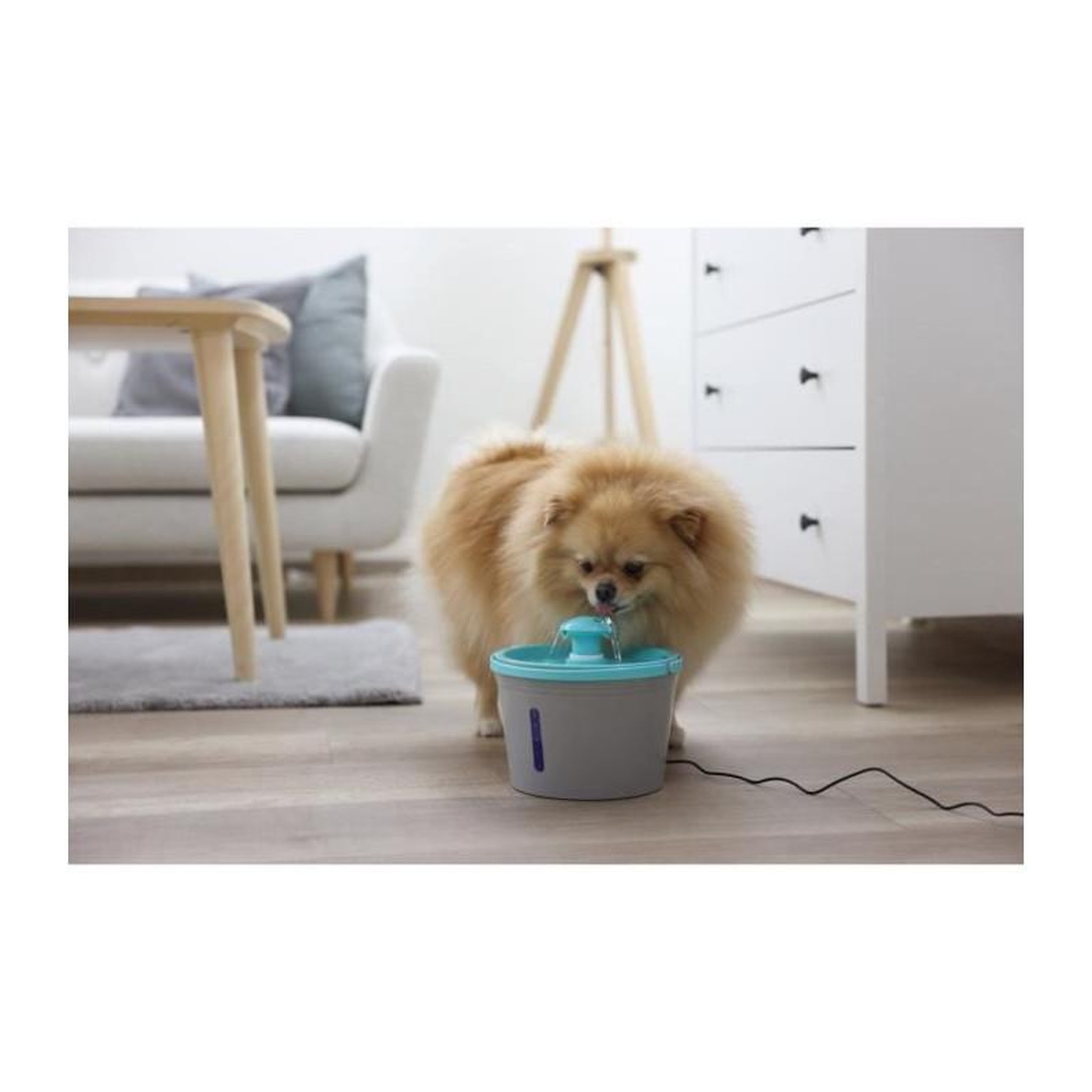 Voir la diapositive 5 : KERBL Fontaine a eau - KERBL - 80557 - 1,6 l - Gris/bleu