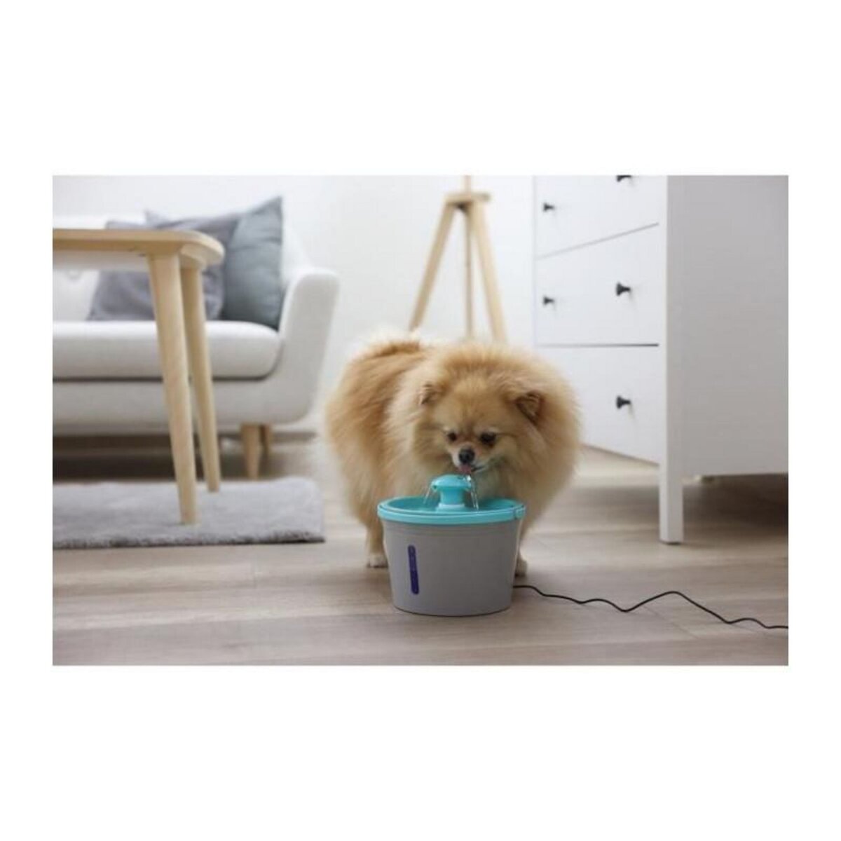 KERBL Fontaine a eau - KERBL - 80557 - 1,6 l - Gris/bleu