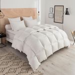 DODO Couette Thermoduv CHAUDE - 70% Duvet d'Oie. Coloris disponibles : Blanc