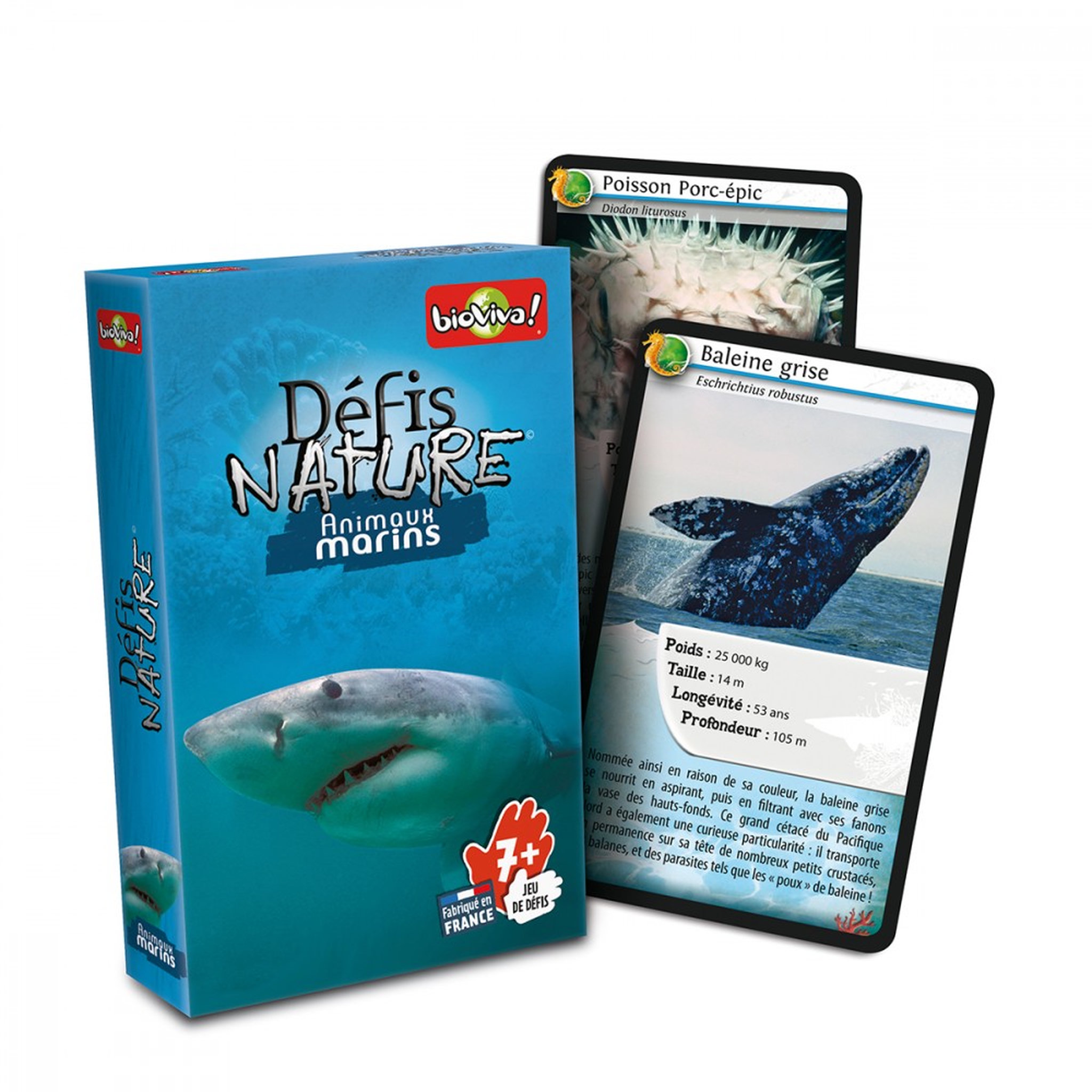 Voir la diapositive 2 : BIOVIVA Défis Nature - Animaux marins