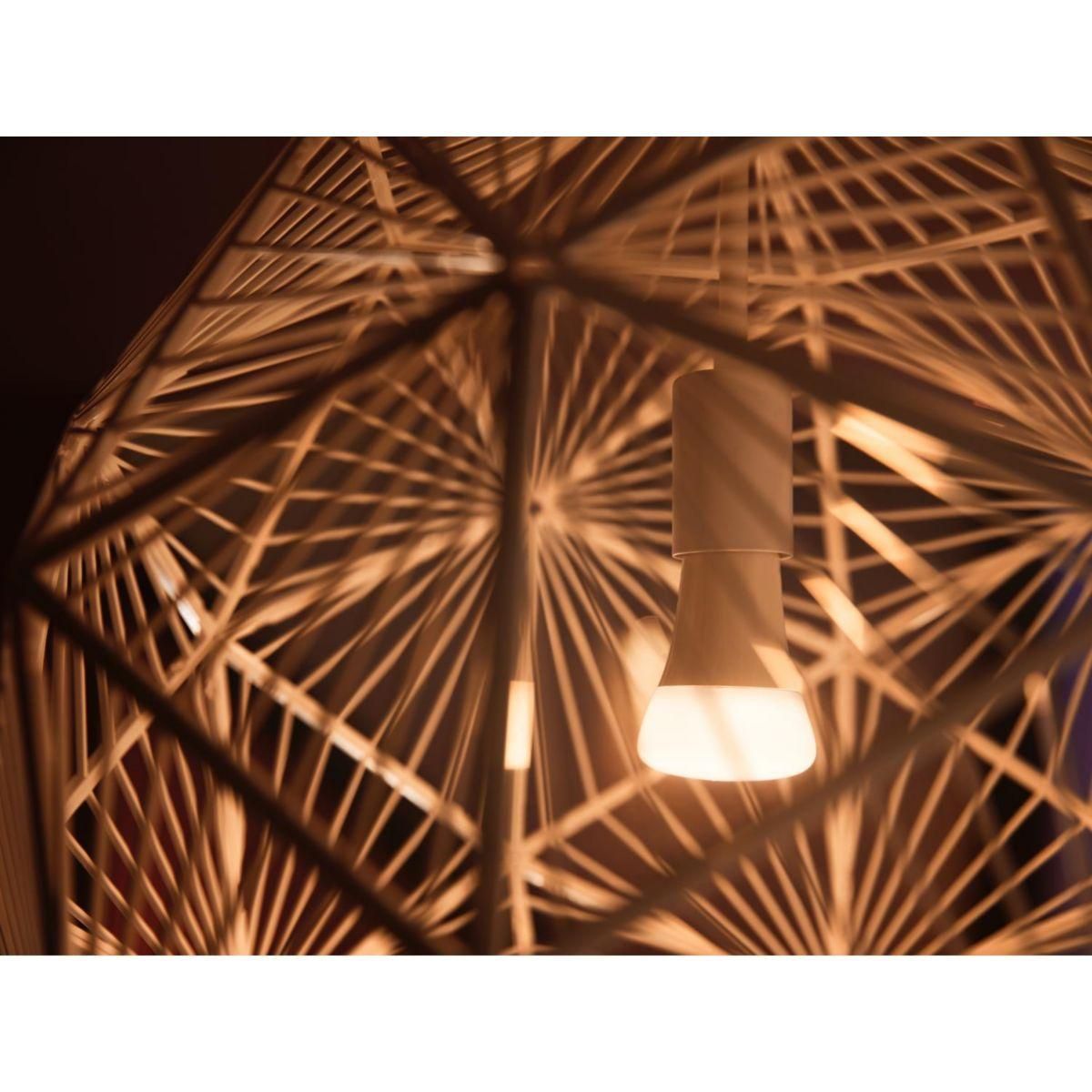 Philips Ampoule LED connectée HUE White E27 75W x2